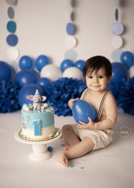 Metro Detroit Michigan photographer Melissa Anne Photography blue white cake smash