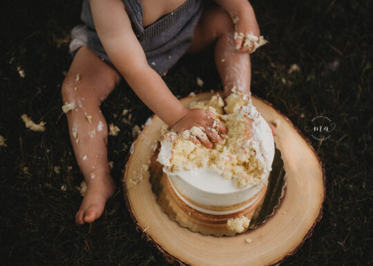 Metro Detroit Michigan photographer Melissa Anne Photography cake smash outdoor