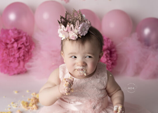Metro Detroit Michigan photographer Melissa Anne Photography princess cake smash