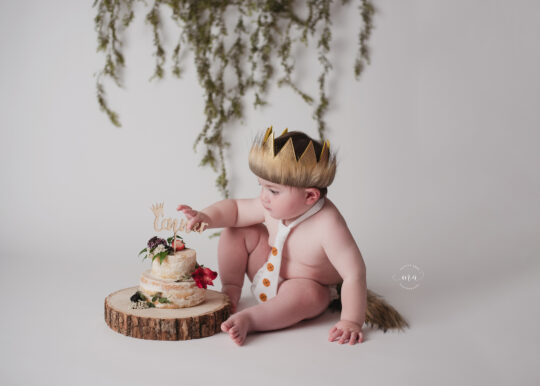 Metro Detroit Michigan photographer Melissa Anne Photography wild one cake smash photo session