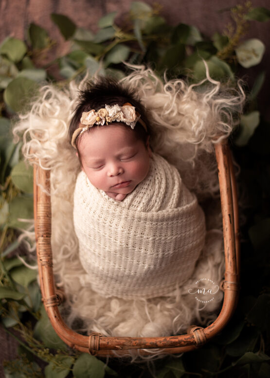 michigan newborn photographer melissa anne photography baby girl wrapped boho basket