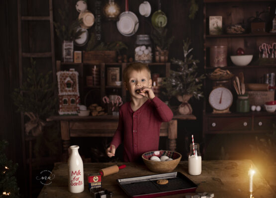 Michigan photographer Melissa Anne Photography Christmas vintage baking cookies for Santa