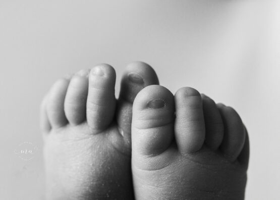 Troy Michigan newborn photographer Melissa Anne Photography baby toes detail macro shot