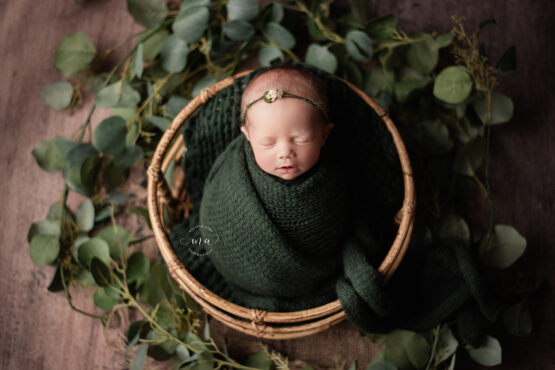 Michigan newborn photographer Melissa Anne Photography hunter green basket wrapped