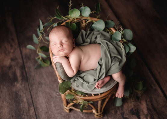 Michigan newborn photographer Melissa Anne Photography bamboo chair with greenery