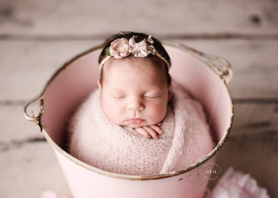 Troy Michigan newborn photographer Melissa Anne Photography baby girl in pink bucket