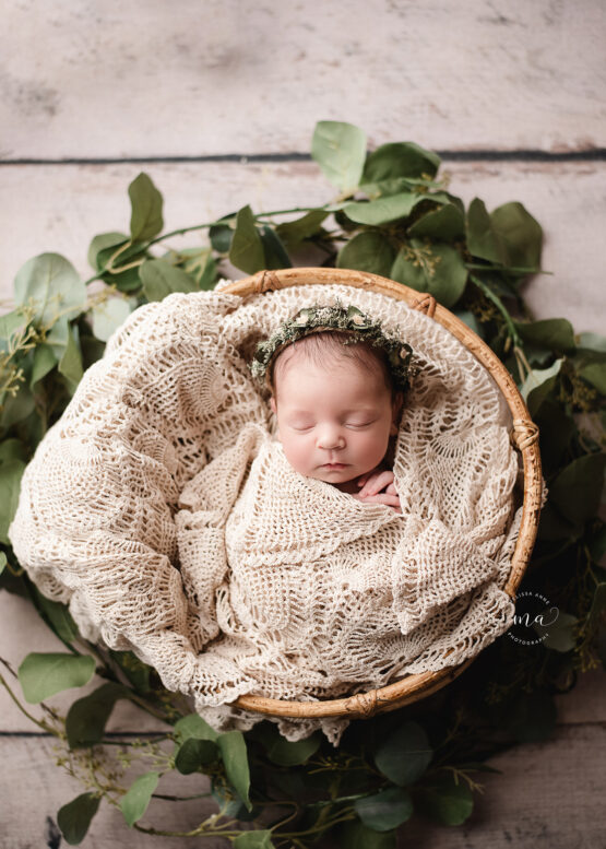 Troy Michigan newborn photographer Melissa Anne Photography baby girl with lace wrap in basket