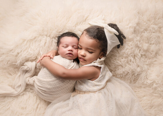 Troy Michigan newborn photographer Melissa Anne Photography newborn photo session with big sister