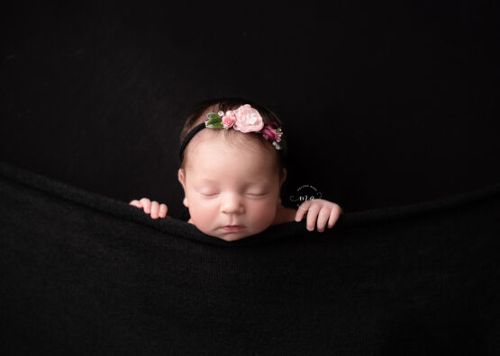 Troy Michigan newborn photographer Melissa Anne Photography baby girl tucked in pose with black background