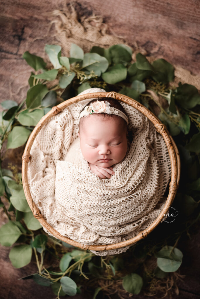 Troy Michigan newborn photographer Melissa Anne Photography baby girl in basket with lace