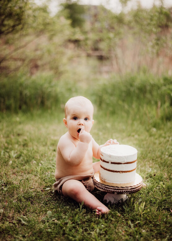 Michigan photographer Melissa Anne Photography outdoor cake smash first birthday photos
