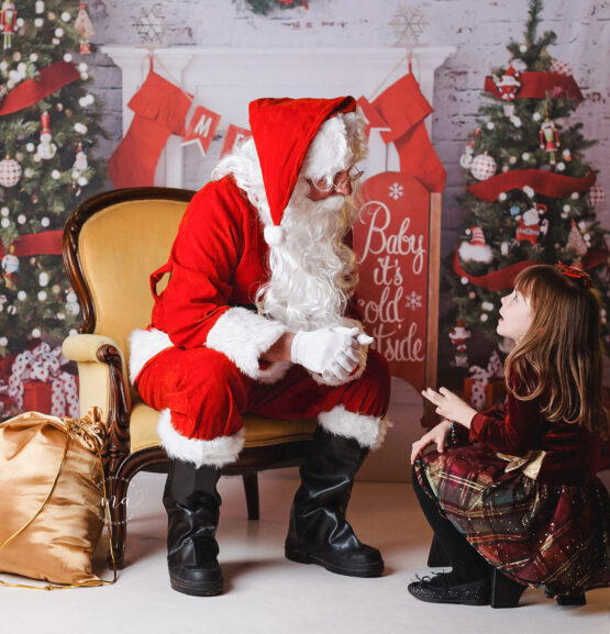 Christmas mini sessions Troy Michigan Melissa Anne Photography Santa with little girl