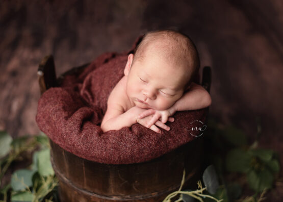 Troy Michigan Newborn photographer Melissa Anne Photography baby boy bucket pose wooden bucket