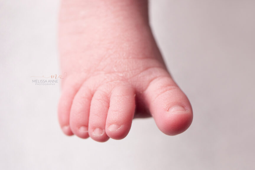 West Bloomfield Michigan newborn photographer Melissa Anne Photography close up of newborn toes macro image