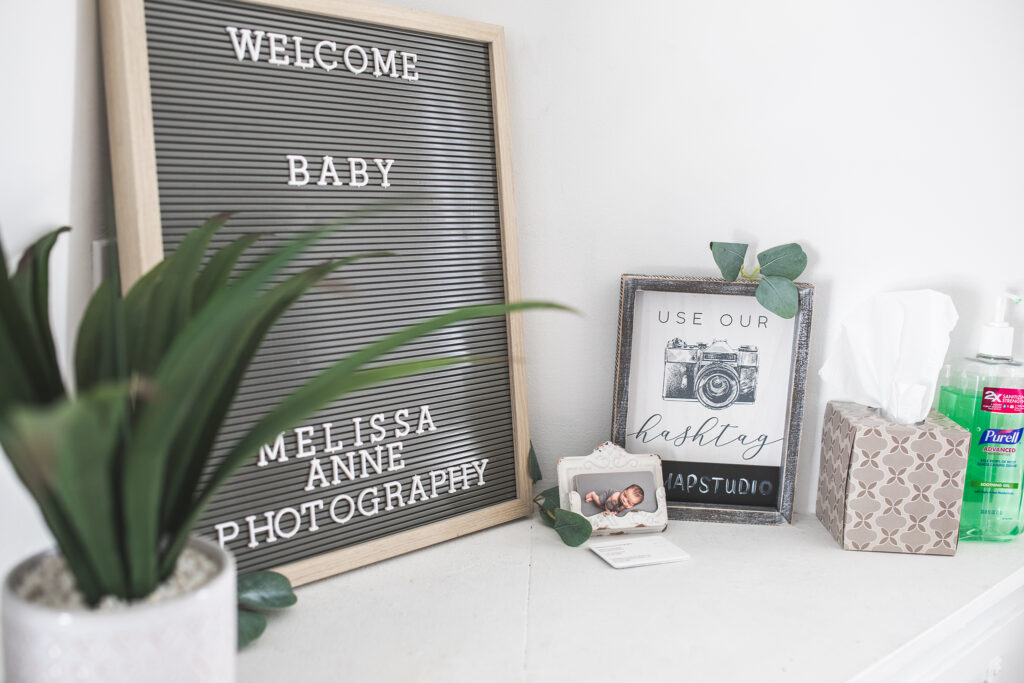 Metro-Detroit-Michigan-photographer-Melissa-Anne-Photography-welcome-sign-studio