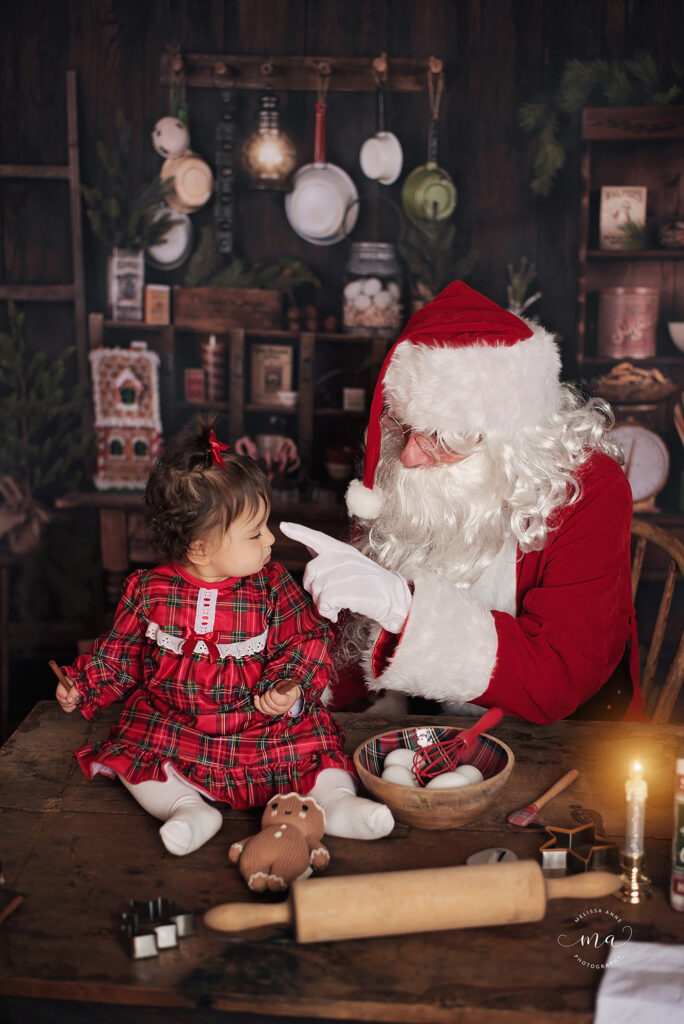 Michigan Christmas Mini Sessions Melissa Anne Photography milk and cookies with Santa