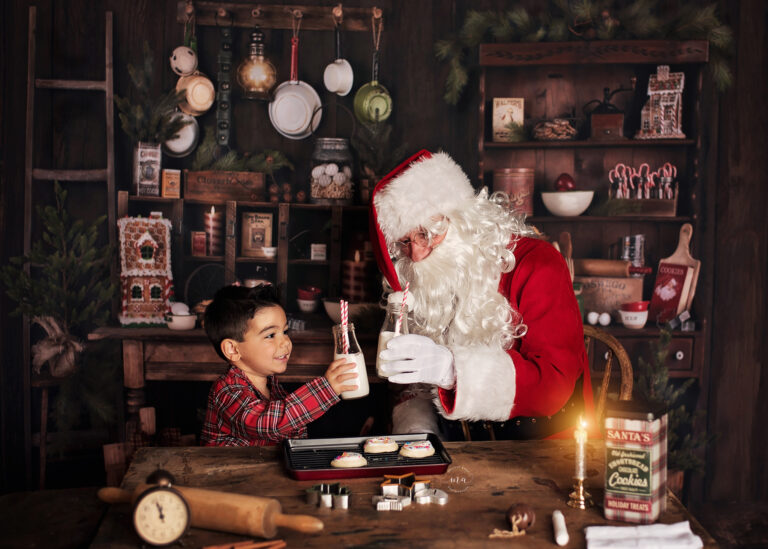 Troy Michigan Christmas mini sessions Melissa Anne Photography milk and cookies with Santa